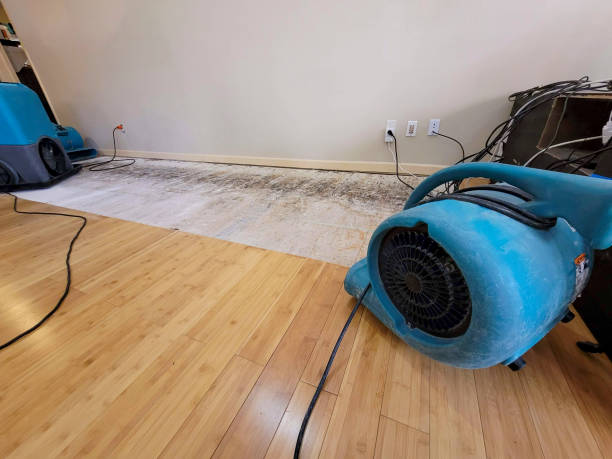 Professional Sewage Cleanup technician working in Kings Park, VA
